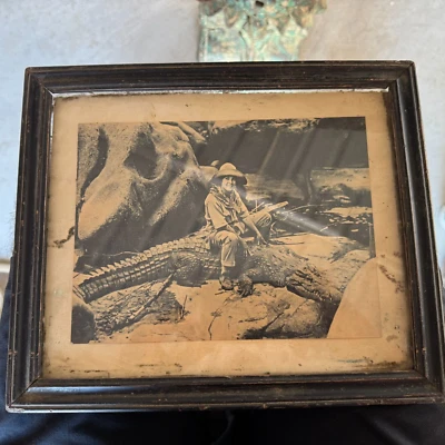 Vintage Rare Black & White Boy Sitting On A Crocodile Photo Wooden Frame - Image 1 of 4