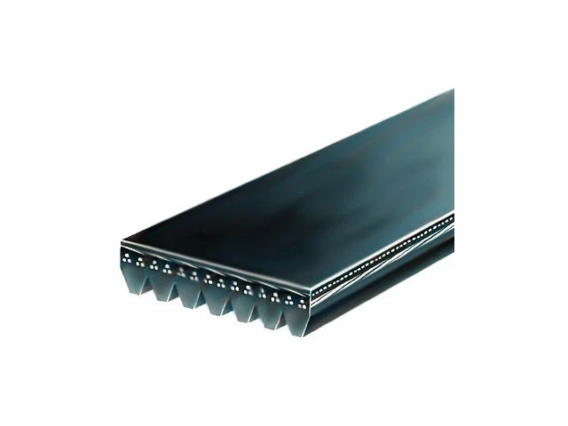 Cinturón multi costilla para BMW 750i xDrive 2010-2019 4,4 L V8 gas 2011 2012 2013 C581QG Foto 1 de 1