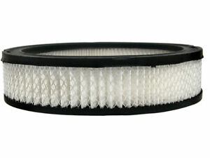 AC Delco Professional Air Filter fits Jeep J10 1974-1987 37FYWV