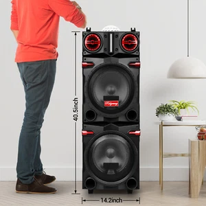 9000W Bluetooth Party Speaker Dual 10" Woofer Deep Bass EQ Remote & Karaoke Mic - Picture 1 of 9