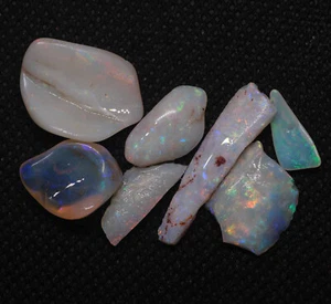 Australia Natural COOBER PEDY FOSSIL SHELL OPAL Specimen Rough Lot 21.20cts - Picture 1 of 9