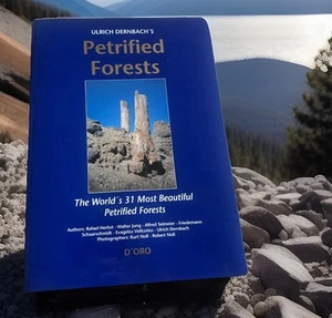 ULRICH DERNBACH'S PETRIFIED FORESTS : THE WORLD'S 31 MOST By Various Authors - Picture 1 of 11