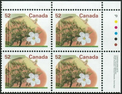 Canada sc#1366 Fruit Tree : Gravenstein Apple, UR CBN Imprint Block, Mint-NH - Image 1 of 4