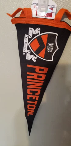 PRINCETON TIGERS  WOOL RETRO VINTAGE NCAA PENNANT 6/4/23 Cover
