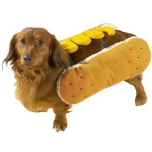 Hot Diggity Dog Costume by Casual Canine New Halloween Outfit Sm-Lg Spooky Cute - Picture 1 of 2
