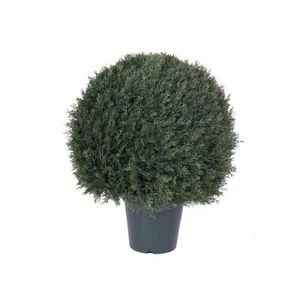 Vickerman 24" UV Pond Cypress Ball in Pot - T160024 - Picture 1 of 1
