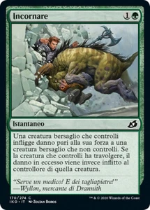 MTG Magic IKO Ikoria - 1x ITA NM 170 C Incornare - Picture 1 of 1