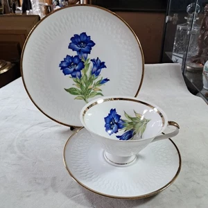 Bavarian Winterling Porcelain Trio, Gentian Flowers. Cup, Saucer & Plate - Picture 1 of 13