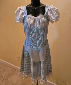 Dorothy Dress from The Wizard of Oz Women's Halloween Costume - Picture 1 of 5