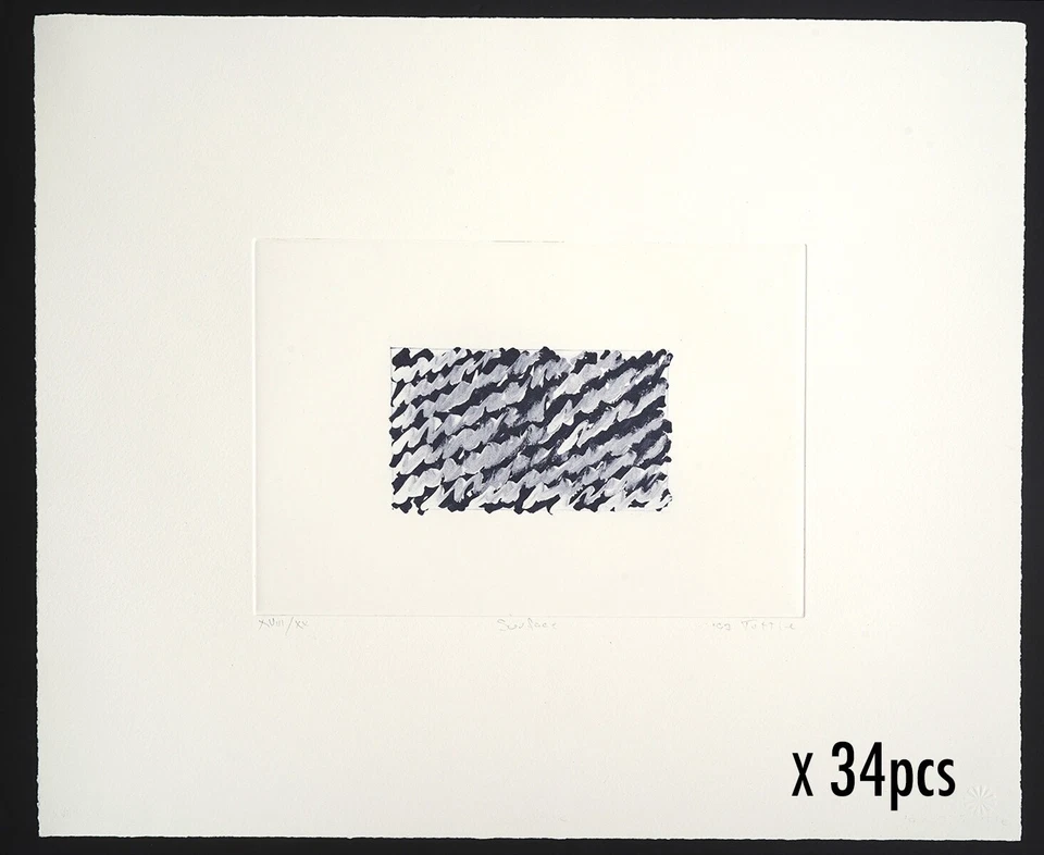 Richard Tuttle 'Surface' Firmado 1997 Original Color Fotograbado - 34 ¡Disponibles! Foto 1 de 4