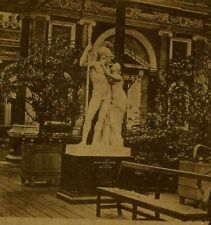 Interior Scene Crystal Palace Sydenham Bench Statue Plants Stereoview c1862
