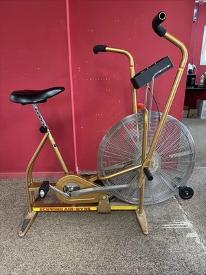 Schwinn GOLD Airdyne Upright Dual Action Wind Resistance Exercise Air Gym Bike - Image 1 of 4