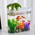 Shatterproof Aquaponic Fish Bowl Removable Plastic Hydroponic Fish Tank   Table