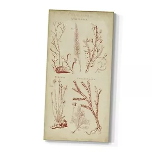 Canvas Nature Wall Art Home Paintings & Prints 40L" x 20W" Coralline II - Picture 1 of 8