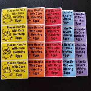 100 Handle with care Hatching Eggs sticker shipping labels 2" x 3" U pick Color - Picture 1 of 15