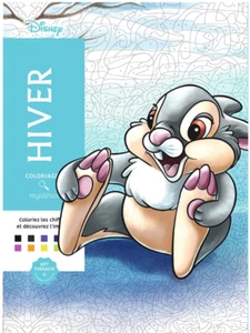 Disney Winter Classics Coloring by Number Meditation Creative Gift (French) - Picture 1 of 12