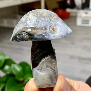 90G Natural Gobi Thousand Eyed Agate mushroom Shape Reiki Chakra Healing - Picture 1 of 20