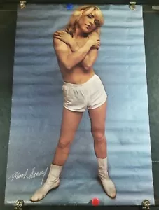 Debbie Harry Blondie poster 1979 ORIGINAL apprx 24.5"x 36 Chris Stein Photograph - Picture 1 of 7