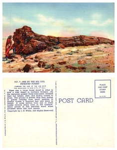Nez by the Big Log, Petrified Forest Arizona Vintage PC - Picture 1 of 1