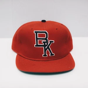 Brooklyn Cyclones MiLB New Era fitted Pro Model Wool New vintage 7 3/8 NWOT - Picture 1 of 3