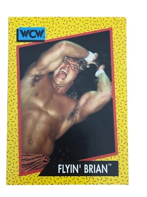 Отличное состояние: винтажная коллекционная карточка 1991 Impel WCW Flyin' Brian - Изображение 1 из 2