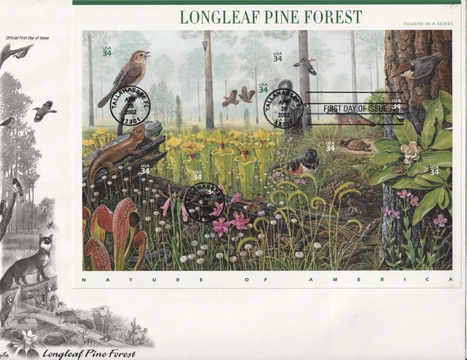 Hoja completa de bosque de pinos de hoja larga de EE. UU. FDC 2002 sobre grande #3611 arte artesanal Foto 1 de 1
