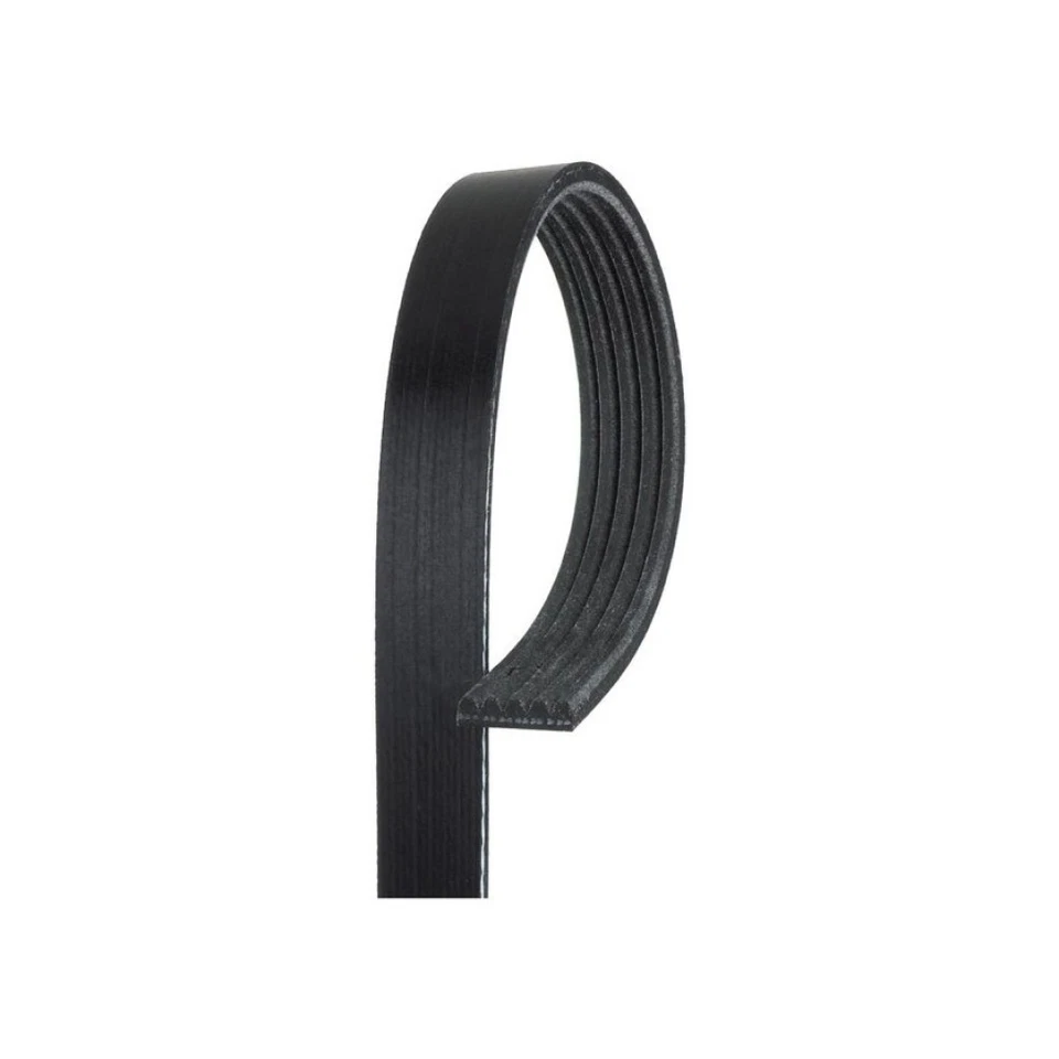 Cinturón serpentino acanalado en V estándar ACDelco genuino para Cadillac STS 2006-2009 Foto 1 de 4