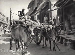 1928 Original INDIA Hyderabad Deccan Bullock Dray Street Cart Photo By HURLIMANN - Picture 1 of 1