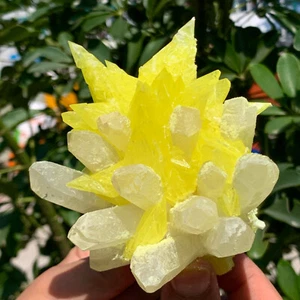 422G Nuevo Encontrar Cuarzo Fantasma Blanco con Racimo de Azufre Amarillo Muestra Mineral - Imagen 1 de 15