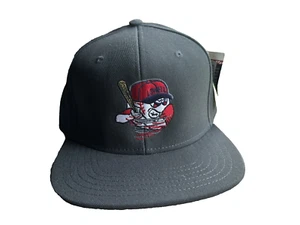 Gorra gris ajustable de béisbol Angry Ball Lowell Spinners - Imagen 1 de 6