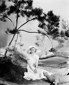 Bette Davis sitting on a rock outcrop under a tree as she appears - Old Photo - Picture 1 of 1