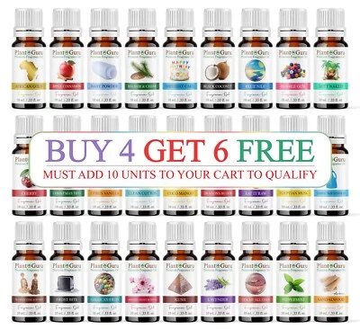 Fragrance Oil 10 ml. For Candle Soap Incense Making Burner Scented Oils Bulk Lot - Image 1 of 4