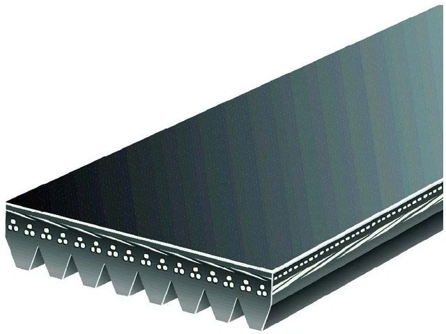 Cinto Multi Rib para Hino XJR 268 338 238 258 258LP 308 C40 C40LF Orion VII MD28S3 - Imagem 1 de 1