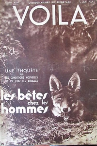  REPORTAGES PHOTOS VOILA 1936 COLETTE ITALIE BÊTES SAUVAGES CHEZ LES HOMMES   - Picture 1 of 1