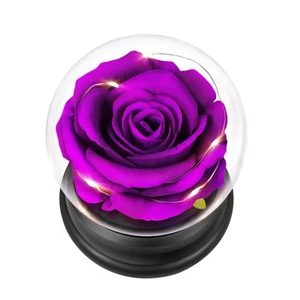 Rose Flower Valentines Gifts for Her, Birthday Gifts for Women Mom Wife Girlf... - Picture 1 of 8