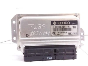 Centralina motore benzina Hyundai Getz 2006 3911002420 1kW 20336183 - Foto 1 di 3