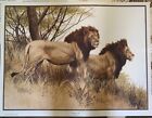 Paire de baccalauréat art lions imprimé par un gars Coheleach signé faune en safari