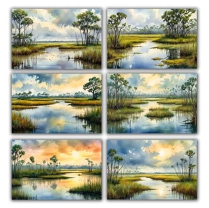 6 Assorted All Occasion Note Cards Blank Greeting Cards Marshlands Swamp Glades - Picture 1 of 3