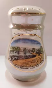 Coctelera de azúcar con brillo de China recuerdo c1910, vista postal de Lynwrtyd Wells, Gales - Imagen 1 de 6