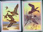 Vintage Sea Birds Swap Card Pair   Brand New Condition