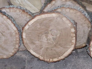 Baumscheibe, Holzscheibe, 25 x 3 cm, Eiche - Bild 1 von 1