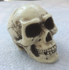 Made in USA Skull Skeleton head Knob goth punk 30 - Picture 1 of 7