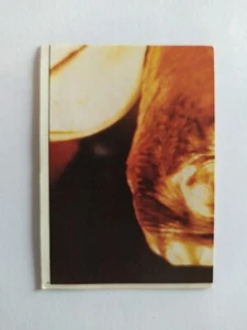 FIGURINA E.T. THE EXTRA TERRESTRE PANINI 1982 n 4 CON VELINA - Imagen 1 de 2