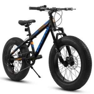 20 Inch Fat Tire Bike Teens 7 Speed Mountain Bike, Dual Disc Brakes, High Carbon - Picture 1 of 7
