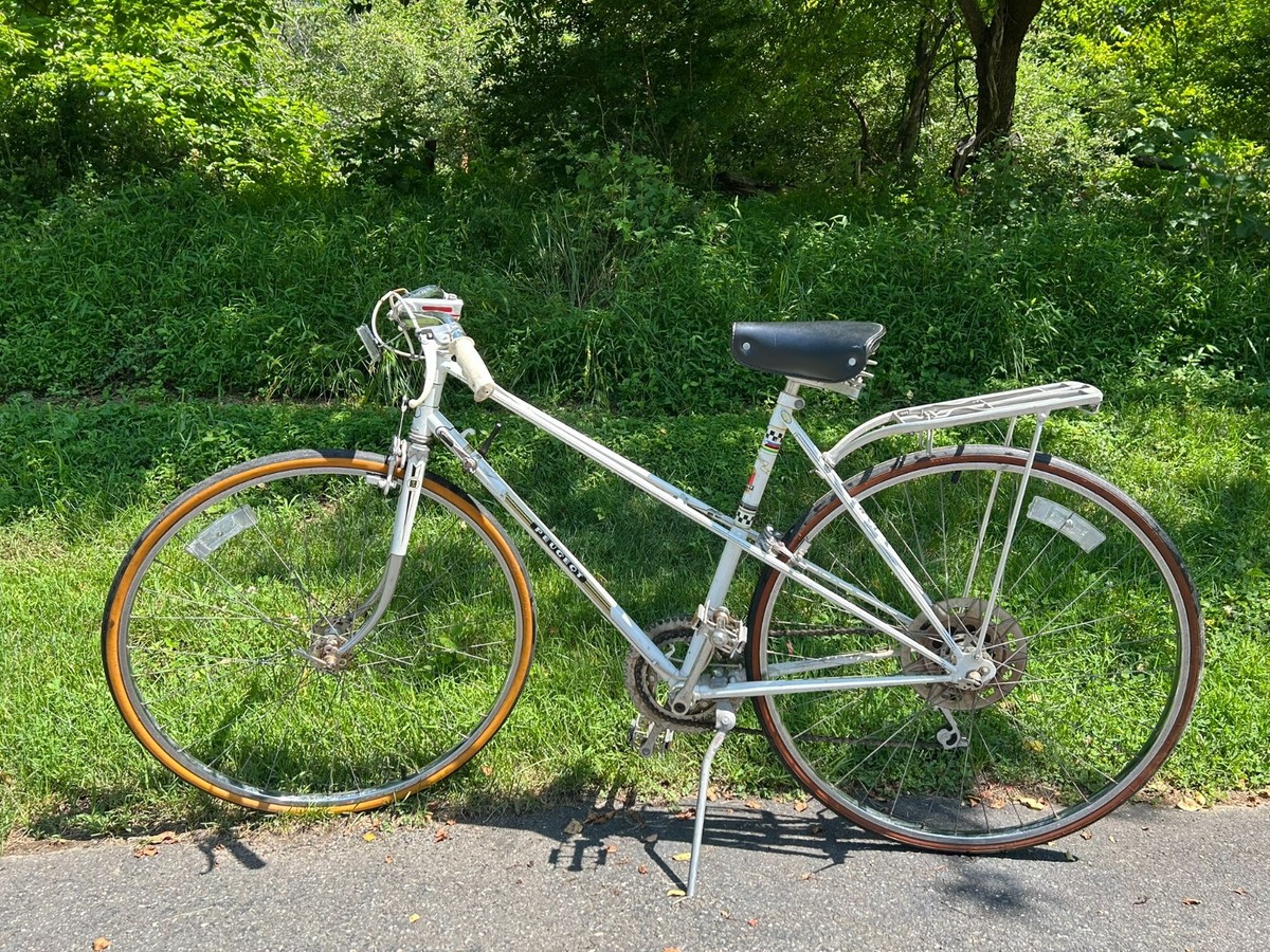Bicicleta City Bike Vintage Para Mujer Adriatica Weekend Lady,  Velocidad, Cuadro De Acero, Verde