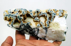 2312 Cts Natural Dendritic Agate Rough Unique Moss Pattern Collector’s Specimen - Picture 1 of 7
