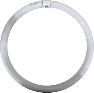 Sylvania 20132 Cool White 16" FC16T9/CW/RP Circline Fluorescent 40 Watt Bulb - Picture 1 of 1