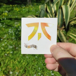Pegatina Fnatic Holo Paris 2023 CSGO CS Counter Strike CS2 (sin efecto) - Imagen 1 de 6
