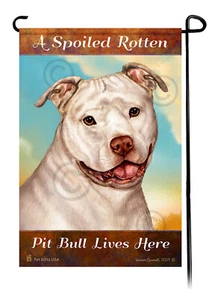 A Spoiled Rotten Uncropped White Pit Bull Lives Here - Imagen 1 de 1