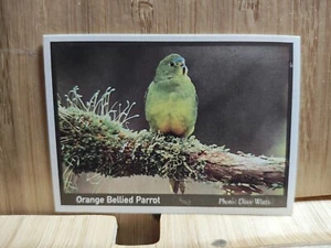 WEET BIX WWF π1995 #15 ORANGE BELLIED PARROT Threatened Wildlife Cardπ - Picture 1 of 2